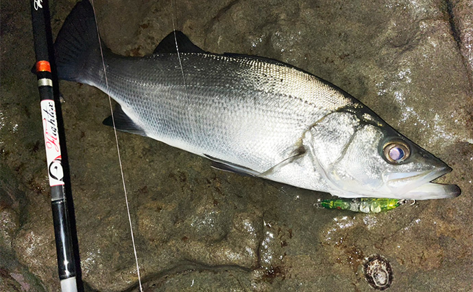 「買う価値あり？なし？」　ちょい高いけど話題の新製品スナップ『Tiスナップ』を使ってみた