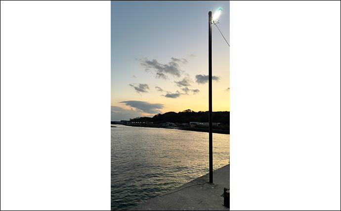 「イカ臭いワームでボウズ逃れ！」爆風ライトゲームでアジ不発もカサゴに癒される