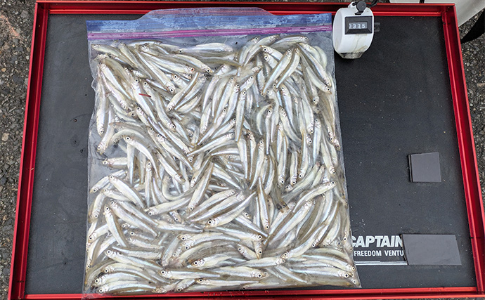 「今日は100匹釣るぞ」が現実に　入鹿池のワカサギ釣りで釣友が初束達成【愛知】