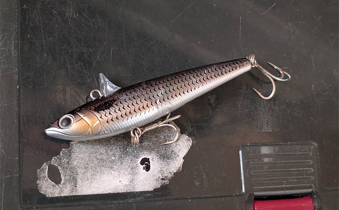 真冬の「ハゼパターン」でシーバス2尾キャッチ！ 数少ないチャンスに全集中