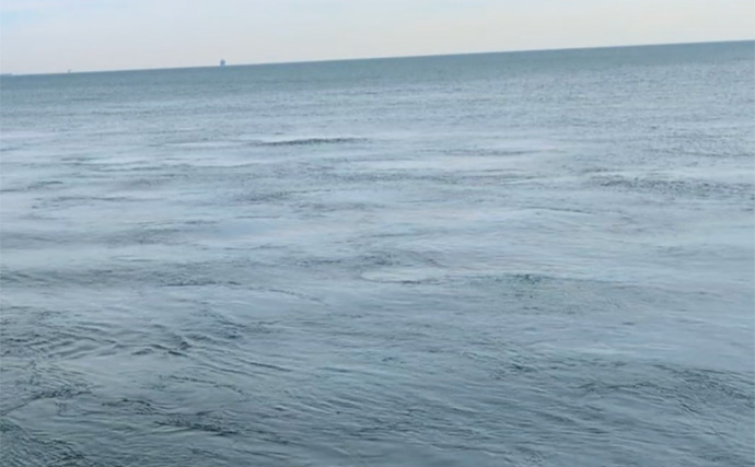 暴風＆激流の淡路島ライトゲームでガシラ30匹超えキャッチ【兵庫】25cm級も登場