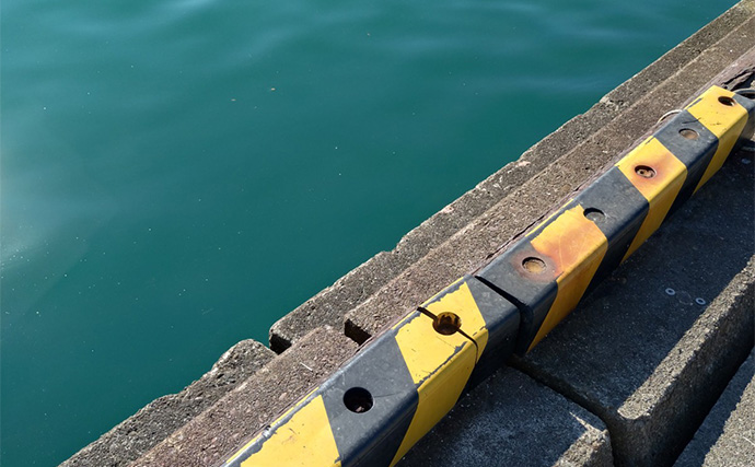 育児の隙間時間でエギングしたら想定外の大物がヒット！  52cm良型マダイが浮上