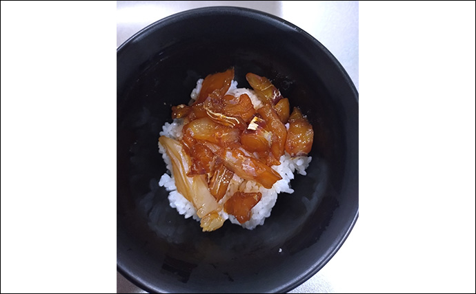 育児の隙間時間でエギングしたら想定外の大物がヒット！  52cm良型マダイが浮上