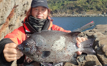 シーズン終盤の「イシ物釣り」で2kgクラス良型イシガキダイが登場！【天…