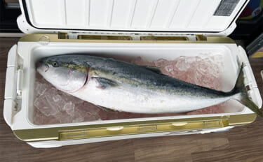 寒さと「無の時間」を耐え抜き10kg超え寒ブリを捕獲！【里輝丸】電気ブ…