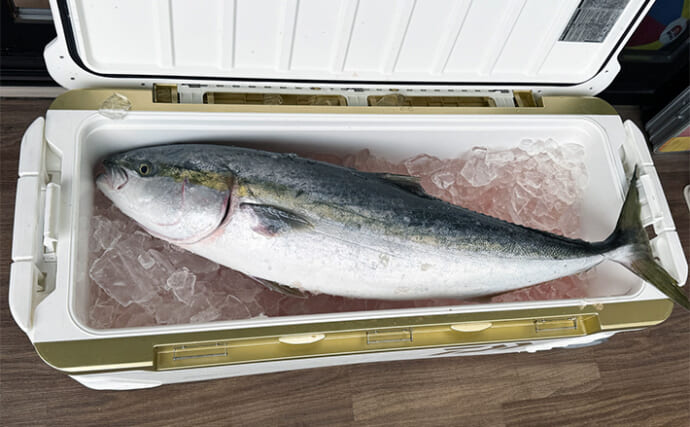 寒さと「無の時間」を耐え抜き10kg超え寒ブリを捕獲！【里輝丸】電気ブリ釣りでヒット