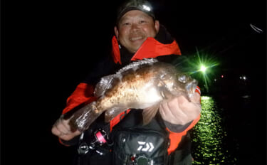 堤防メバリングで28cmメバルを好捕【千葉・勝浦】 尺メバルを狙える条…