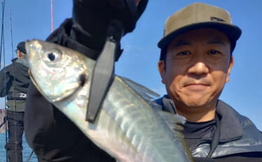 53cmの超大型アジお目見え！【大阪】バチコンアジングで良型アジが続々…