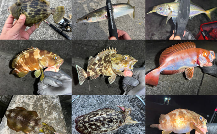 陸っぱり遠征釣行でレアなゲスト魚含む11魚種と対面【大分】 名物「とり天」も堪能