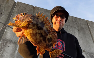 暴風＆激流の淡路島ライトゲームでガシラ30匹超えキャッチ【兵庫】25c…