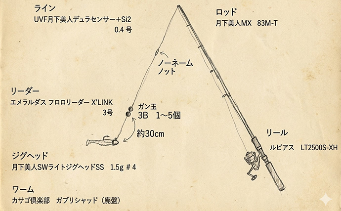 堤防メバリングで28cmメバルを好捕【千葉・勝浦】 尺メバルを狙える条件とは？