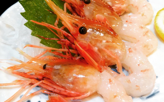 高級食材「ボタンエビ」にしては妙に安い『ボタンエビ』の正体とは？