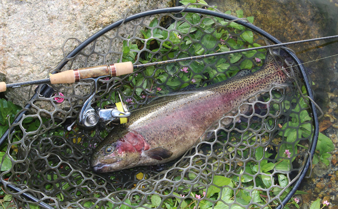 『26ベレッツァ・プロトタイプ』を実釣検証　通い込みアングラーが語るエリアトラウトロッドの使い分け