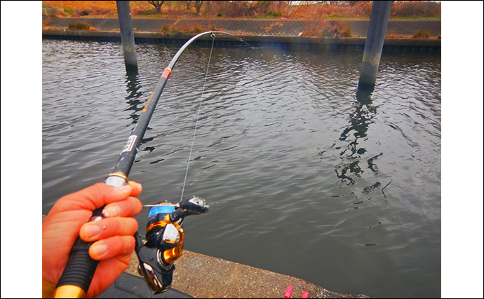 荒川温排水で10kgオーバー大型コイ堂々浮上！【埼玉】ボラのいぬ間に釣るべし？