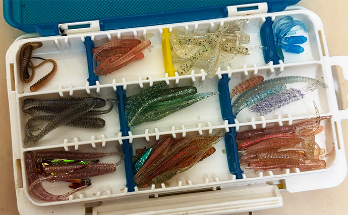 ルアーカラーの信じ過ぎにご注意を！ 「答え」ではなく「手段の一つ」と考えよう
