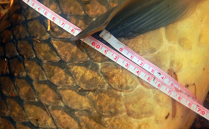 荒川温排水で10kgオーバー大型コイ堂々浮上！【埼玉】ボラのいぬ間に釣るべし？