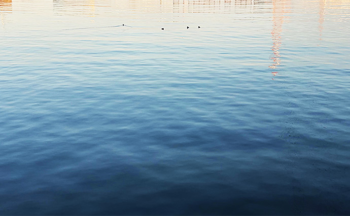 ライトゲームにおける潮止まり打開策　リグの小型＆軽量化が決め手か