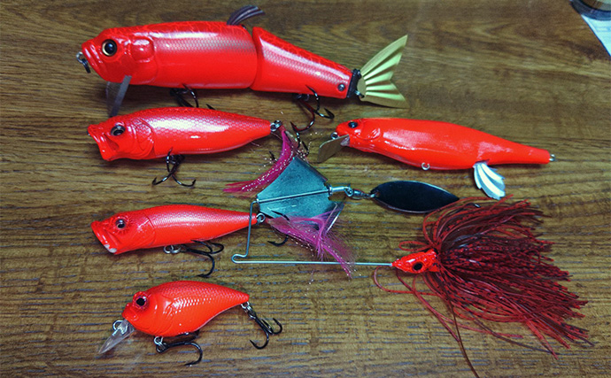 釣りの聖地に移住して気付いたデメリット　釣りに行けない日の過ごし方に落とし穴あり？