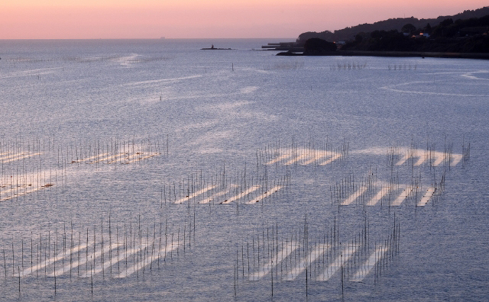 恵方巻きの高値傾向が継続　豊かな海の環境が減っていることも一因か