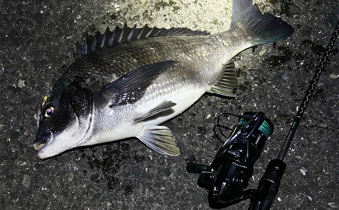 初心者がルアーでも釣りやすい魚ランキングTOP5　海のルアーフィッシングに入門しよう！