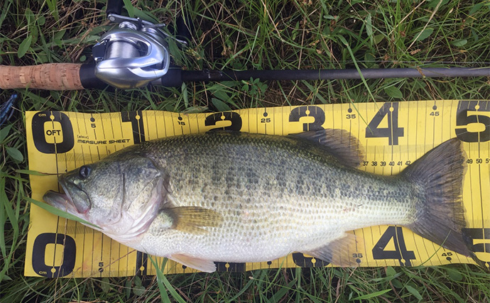 バスロッドの王道ブランク『IMブランク』とは？ 【特徴・おすすめリグ＆状況を解説】