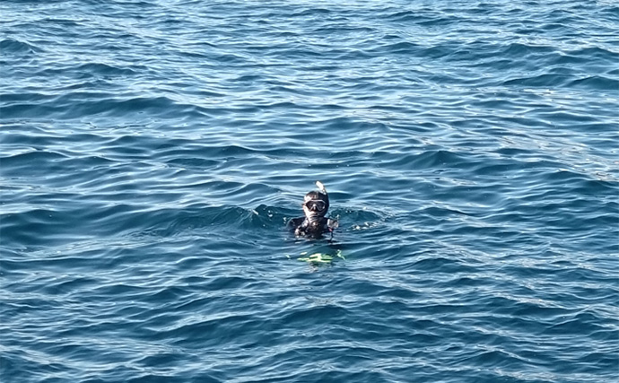 「これぞ最強タッグ！？」潜水＆釣りで魚を狙い撃ちしてみた　ムツ連打に成功