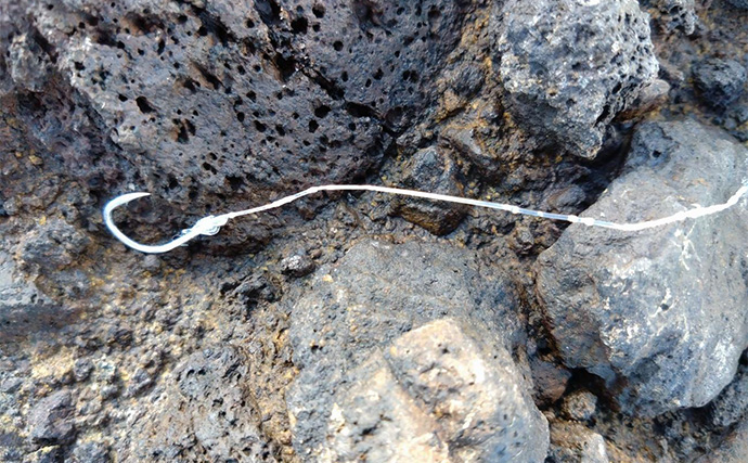 「これぞ最強タッグ！？」潜水＆釣りで魚を狙い撃ちしてみた　ムツ連打に成功