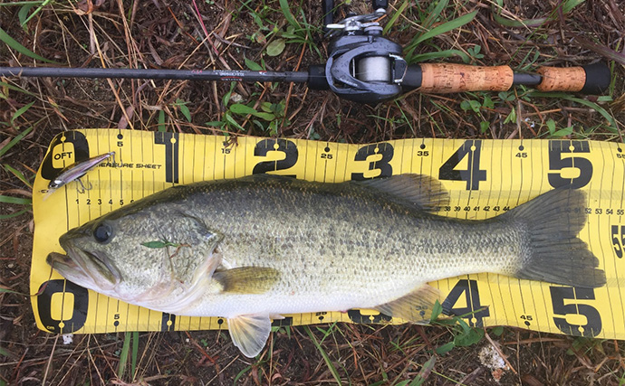 バスロッドのセパレートグリップとは？ 【メリット・デメリット・向いてる釣り方】