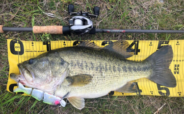 バスロッドの王道ブランク『IMブランク』とは？ 【特徴・おすすめリグ＆…