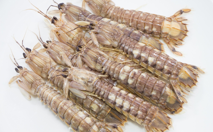 高級魚介の食べ放題に行ってみた　元をとるなら何を食べればいい？