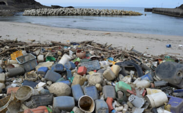 目に見えない海洋ゴミ「ナノプラスチック」のせいで魚の生存率が低下する