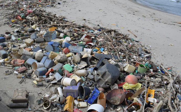 目に見えない海洋ゴミ「ナノプラスチック」のせいで魚の生存率が低下する