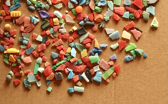 目に見えない海洋ゴミ「ナノプラスチック」のせいで魚の生存率が低下する