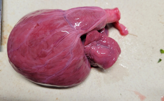 レバ刺しはエイの肝で代替できる？　動物の「高リスク料理」は魚介類に置き換えればOK