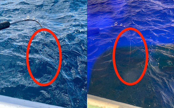 『Gillsee』の口コミは本当？ TALEXと比較して24時間着用検証した結果が想像以上だった