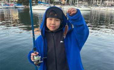 初めてでも確実に楽しめるオススメの釣り3選　【サビキ・ちょい投げ・穴釣り】