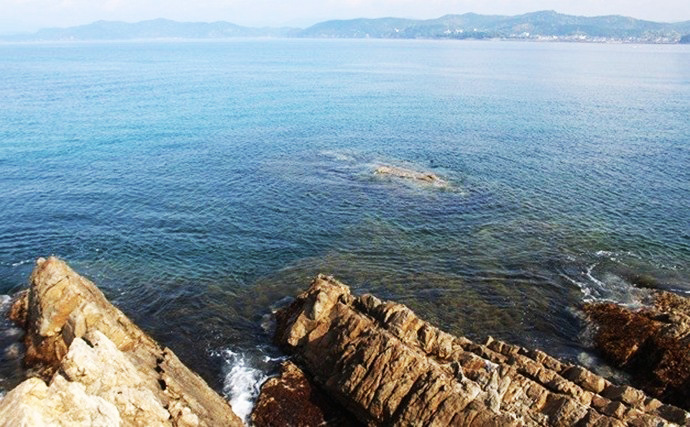 アジング・メバリング・エギングファン必見！ オリムピック最新ロッドの進化を徹底解説