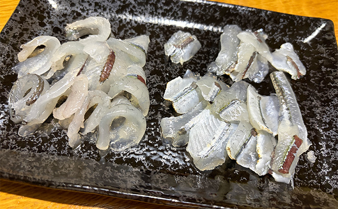 「大群なのになぜ釣れない？」サヨリ釣りで初めは苦戦も50匹好捕【鹿島港魚釣園】