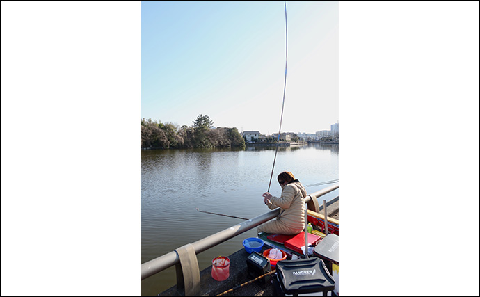 吉田康雄のザ・チャレンジへらぶな【手ごわい都心のオアシス#4】
