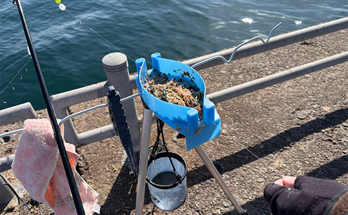 「大群なのになぜ釣れない？」サヨリ釣りで初めは苦戦も50匹好捕【鹿島港魚釣園】