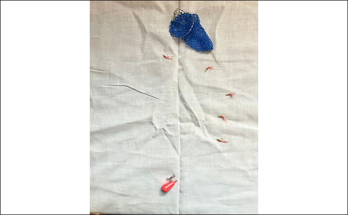 初めてでも確実に楽しめるオススメの釣り3選　【サビキ・ちょい投げ・穴釣り】