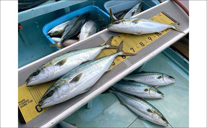 【沖釣り釣果速報】1.5kg超オニカサゴ堂々浮上！底物五目で高級魚多彩（愛知・静岡）