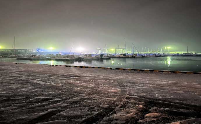 富山湾のスルメイカがノッコミ間近か　「スルメタル」で2桁釣果達成！