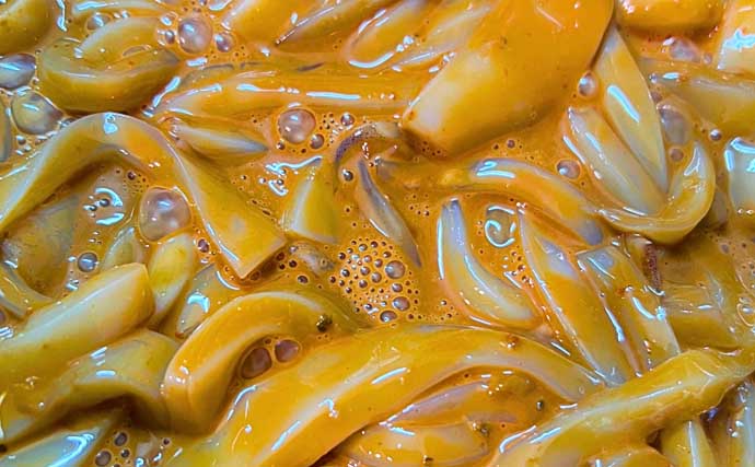 富山湾のスルメイカがノッコミ間近か　「スルメタル」で2桁釣果達成！