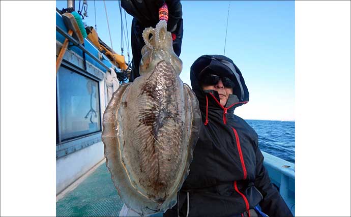 伊良湖沖のコウイカ釣りで胴長21cm頭に5匹好捕【愛知】独特の『ズンッ』としたアタリに病みつき