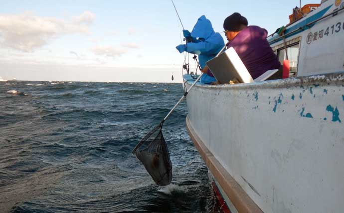 伊良湖沖のコウイカ釣りで胴長21cm頭に5匹好捕【愛知】独特の『ズンッ』としたアタリに病みつき