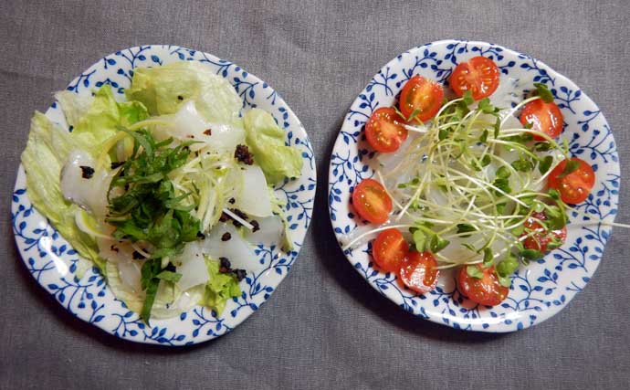 伊良湖沖のコウイカ釣りで胴長21cm頭に5匹好捕【愛知】独特の『ズンッ』としたアタリに病みつき