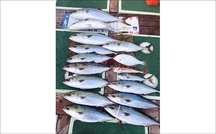 【沖のルアー釣果速報】ヤリイカ半夜便で船中トップ30匹も！三重沖イカメタルが好調（三重）