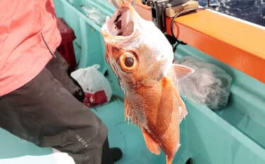 「犬吠埼沖の深場で赤い宝石浮上！」アカムツ釣りで43cm良型登場【千葉…