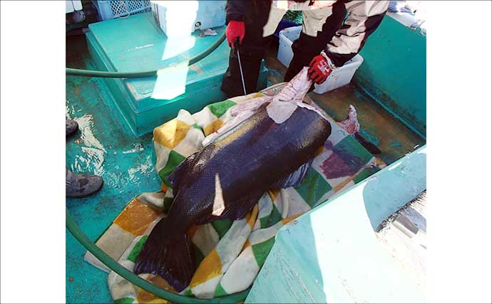 「水深900mの超深海戦！」相模湾ベニアコウ釣りで本命＆60kg級アブラボウズを好捕！【神奈川】